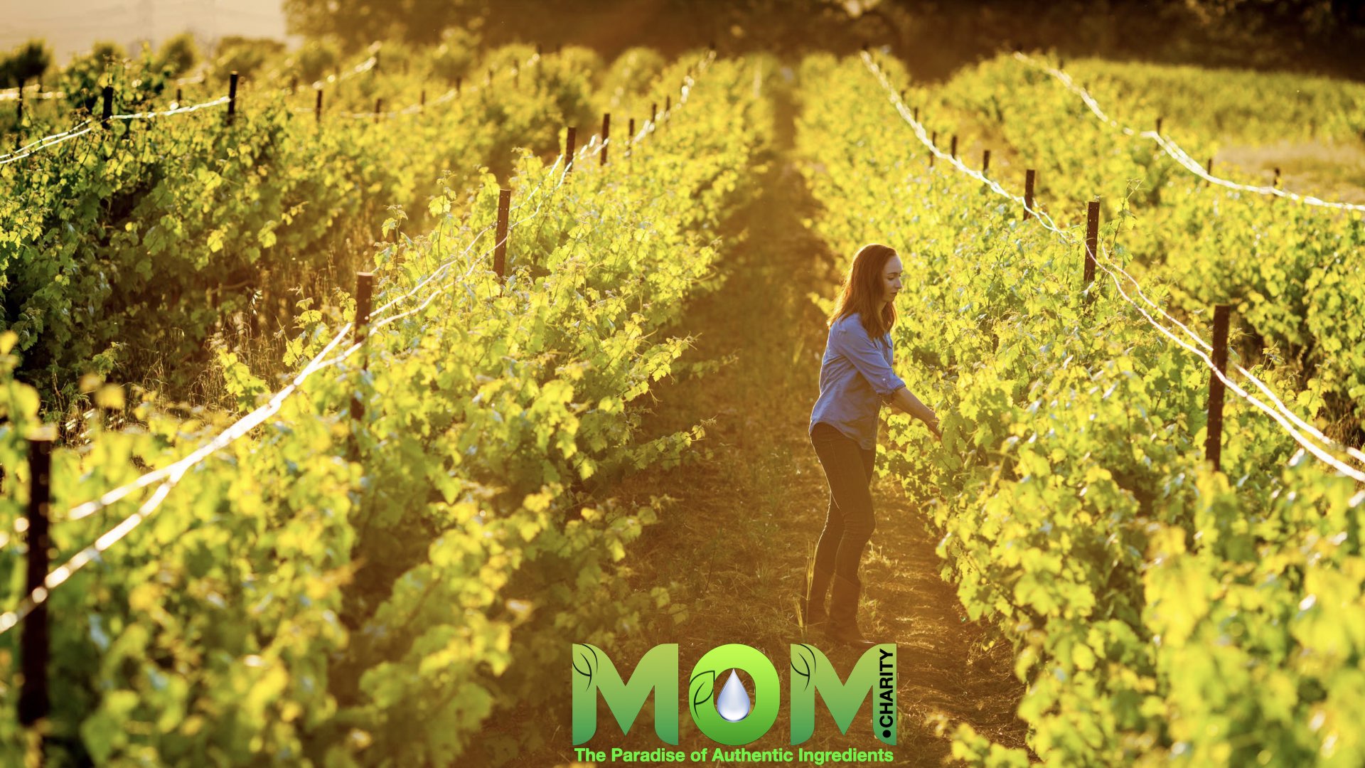 MOM.charity Cuisines.009