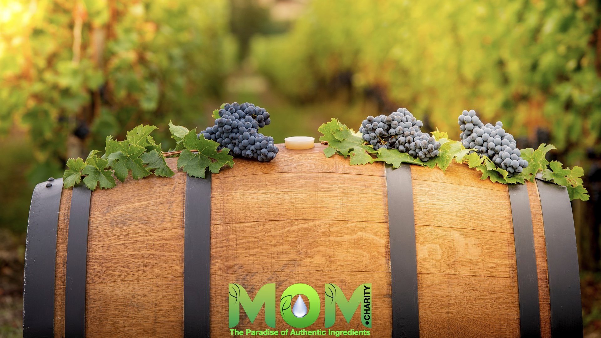 MOM.charity Cuisines.011