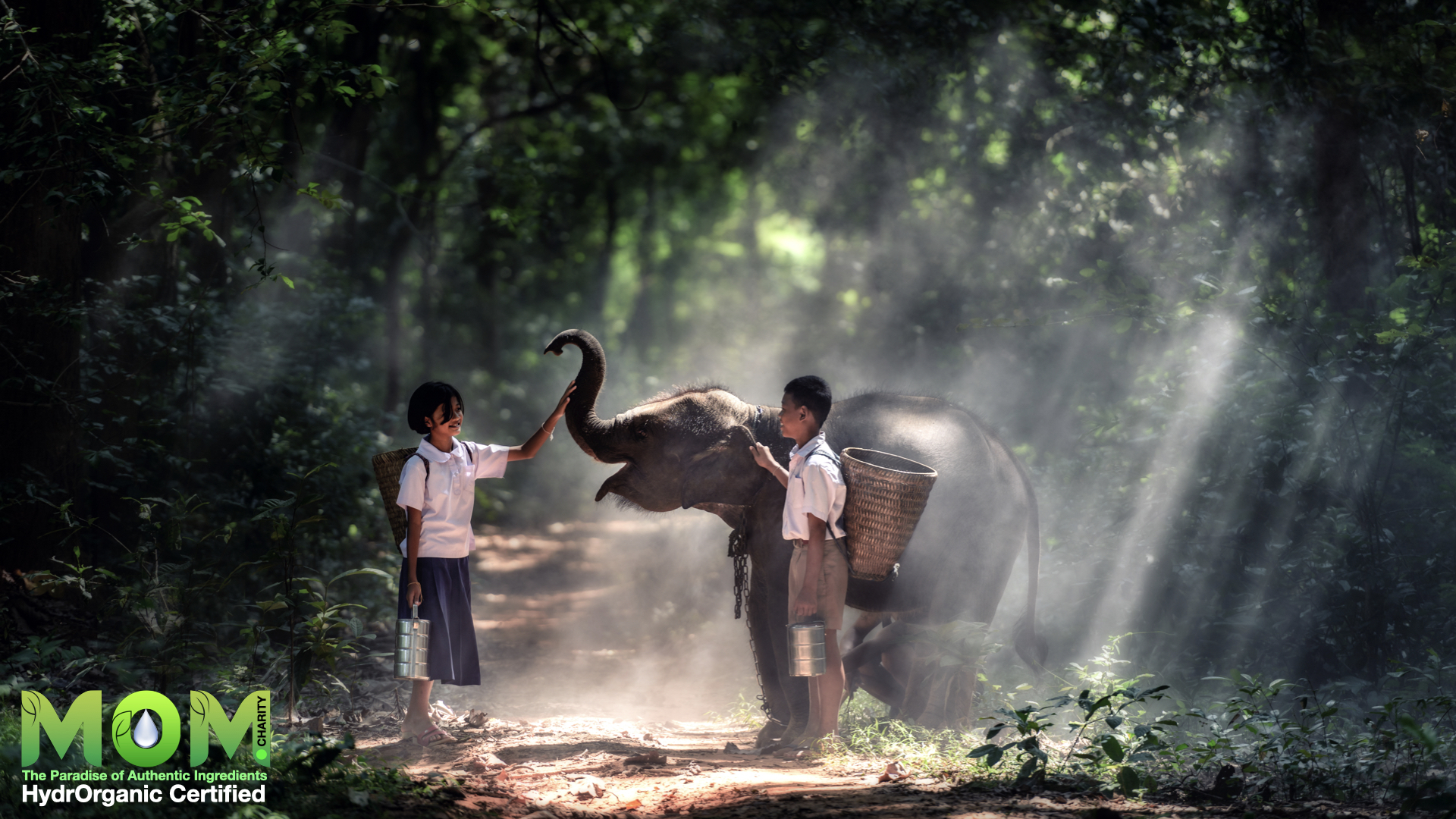 Tiller Elephant Poster .001